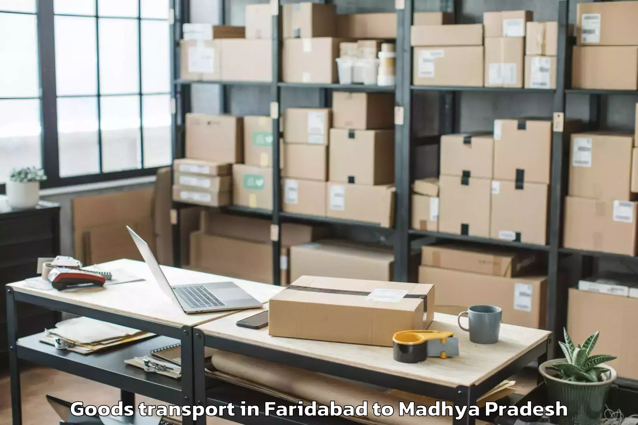 Reliable Faridabad to Dabra Goods Transport